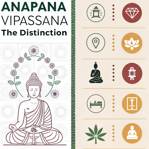 Infographic illustrating the difference between Anapana and Vipassana meditation with symbolic icons and a central Buddha figure.